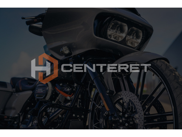 HARLEY-DAVIDSON TOURING KM/H