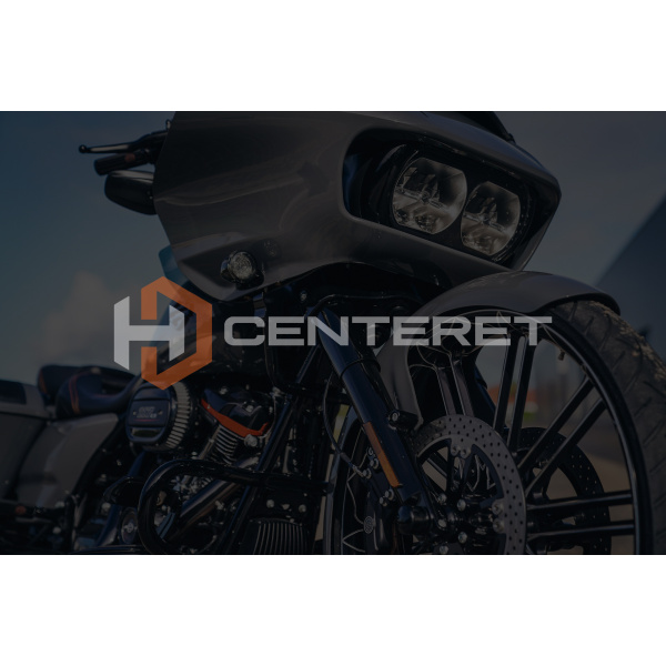 HARLEY-DAVIDSON TOURING KM/H