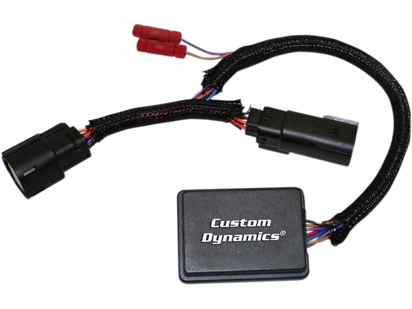 MODULE TS DECODER